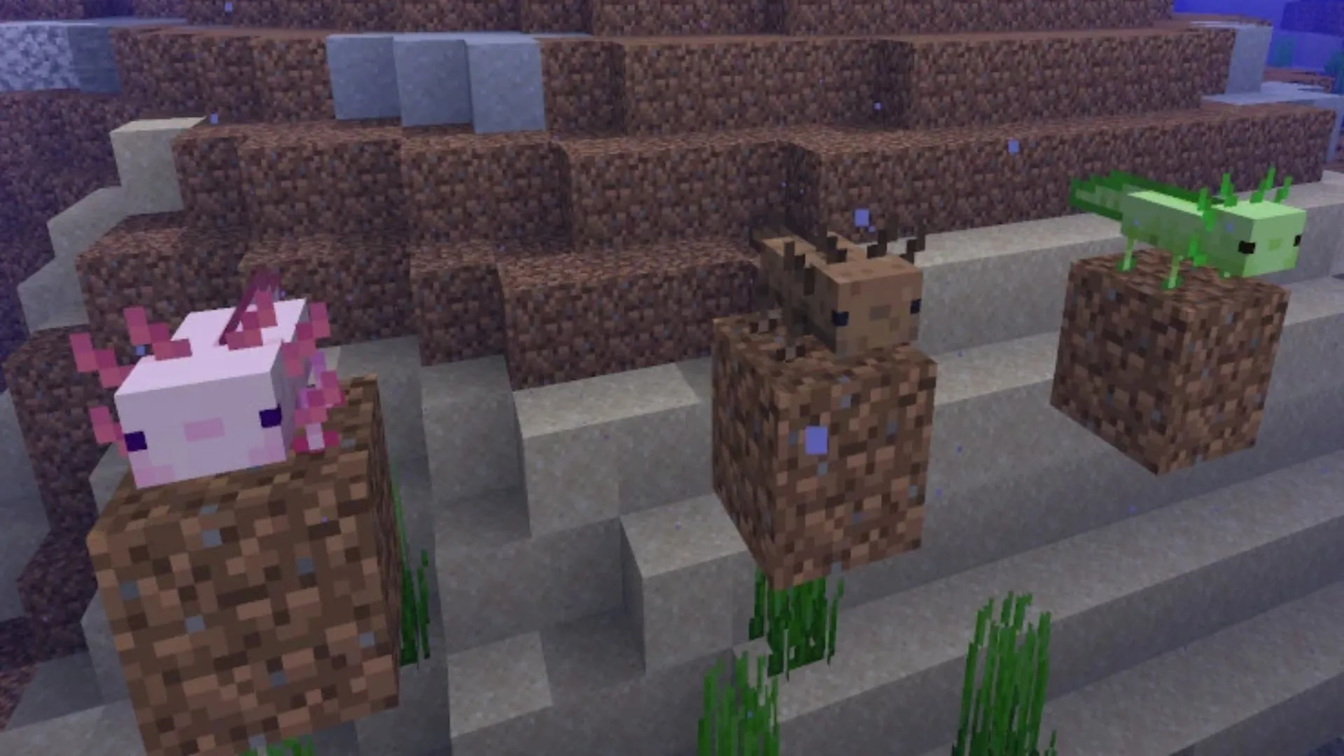 Three Minecraft axolotls — pink Lucy, brown Wild, and rare green — perched on dripstone in an underwater lush cave