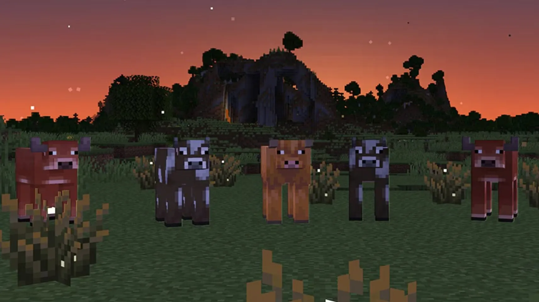 The three new Minecraft cow variants — Temperate, Cold, and Warm — standing in tall grass at sunset