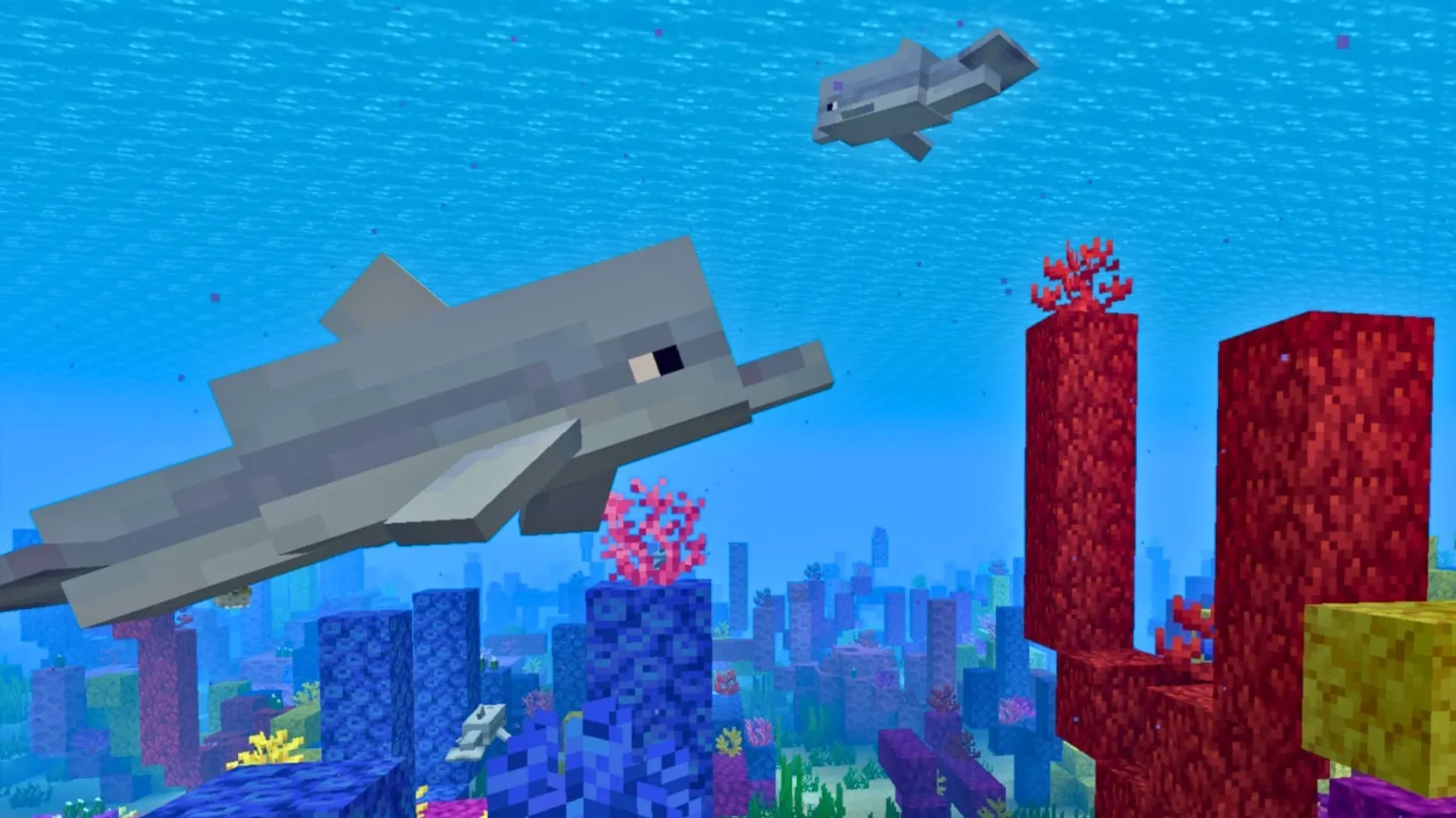 Two Minecraft dolphins swimming above a colorful coral reef in a warm ocean biome