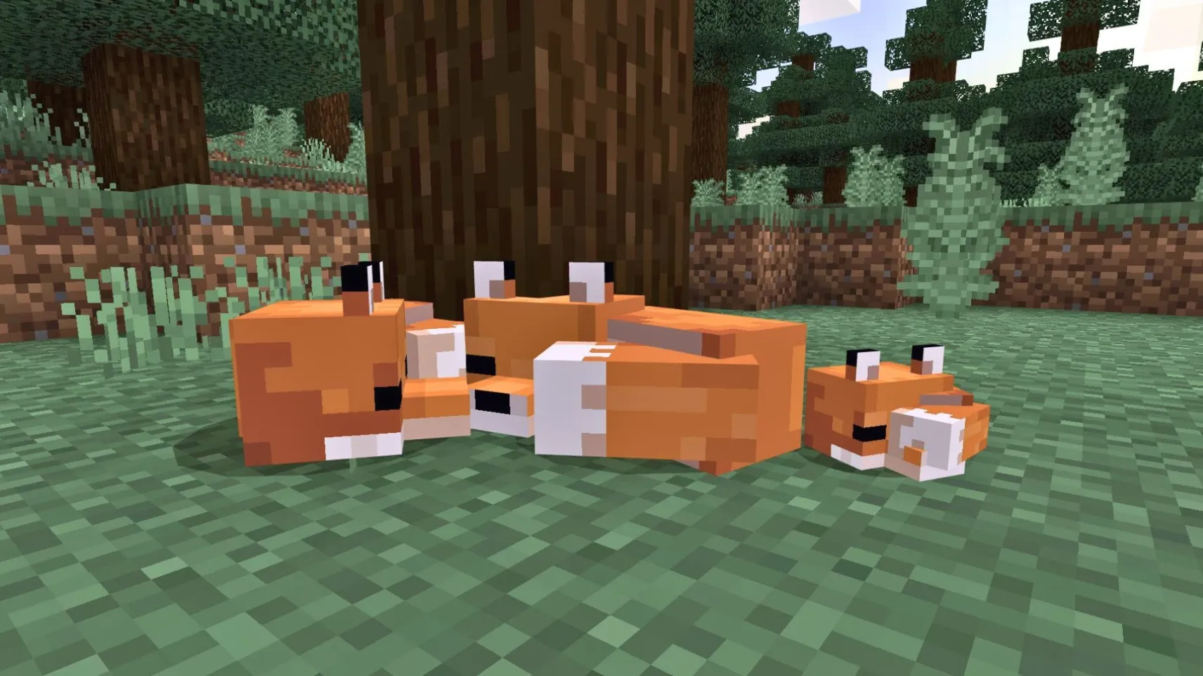 A family of red foxes sleeping together under an oak tree in a Minecraft forest biome