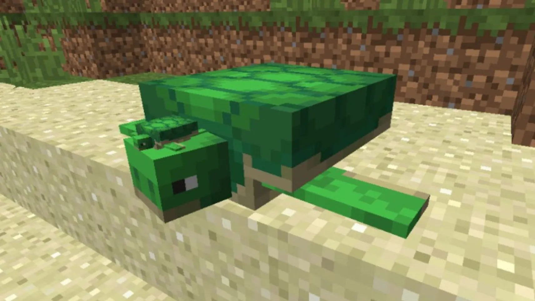 A green Minecraft sea turtle resting on a sandy beach with grass blocks in the background
